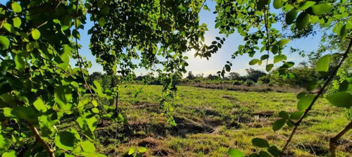 Cambia Tu Vida,mudate A Un Terreno De 1550 M2 Tortuguitas