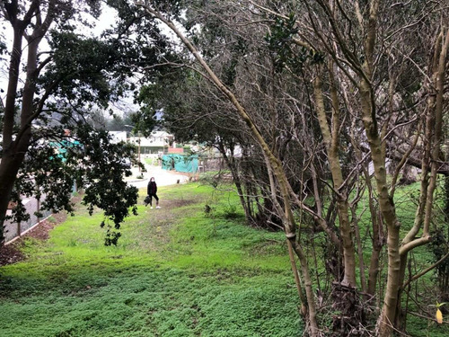Imagen 11 de 11 de Sitio Condominio Privado, Arenas De Puyai Ii, Papudo