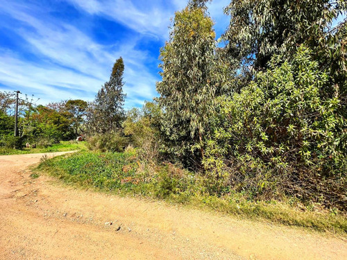 Imagen 6 de 13 de Terreno Esquina Venta Costa Azul Canelones