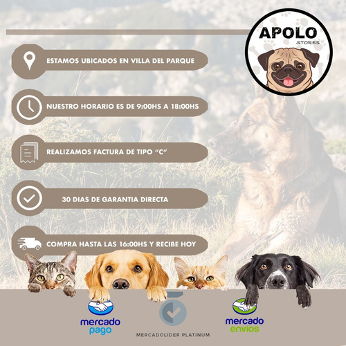 Imagen 10 de 10 de Mochila Bolso Mascotas Perro Gato Transparente Visión Apolo®
