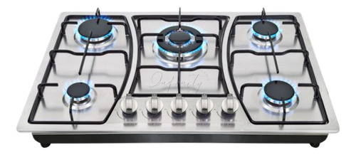 Encimera A Gas Inox Con Chispero Cocina 5 Platos