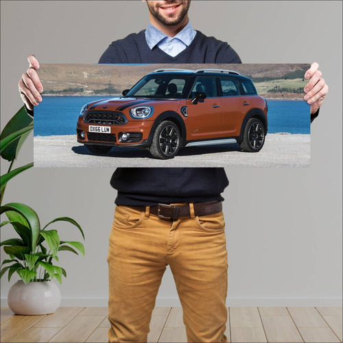 Cuadro 30x80cm Auto 2017 Mini Cooper S Countryma 291