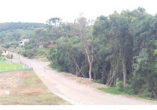 Imagem 2 de 5 de Terreno - Conceicao Da Linha Feijo - Ref: 4104 - V-4104