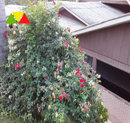 Imagem 25 de 30 de Chácara Em Mandirituba - Ch00124 - 34983072