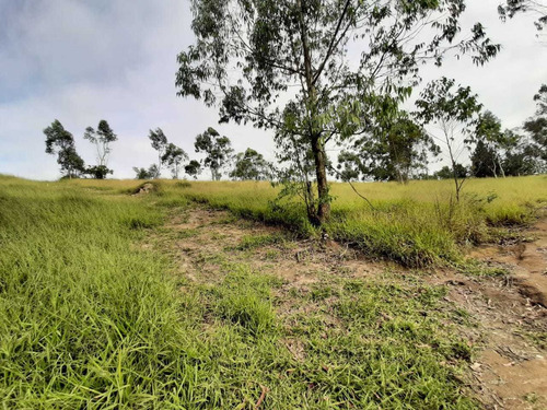 Terreno Plaino Em São Roque Direto Com O Proprietário!