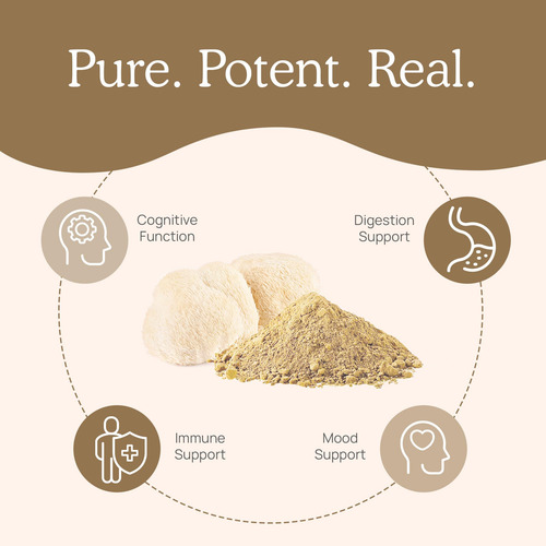 Suplemento De Cogumelos Reais: Lions Mane Powder (60 Porções