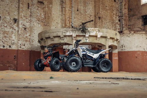 Mini Quadriciclo 110cc Rhino Fun Motors