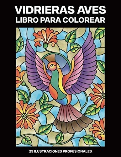 Libro: Vidrieras Aves Libro Para Colorear: Fácil Libro Para