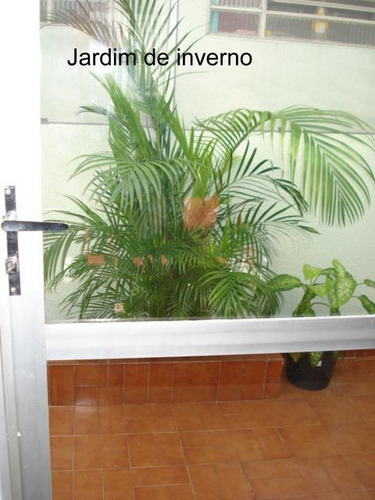 Imagem 10 de 15 de Casa Térrea 3 Dormitórios Vila Mussolini C/ Piscina - 1033-6612