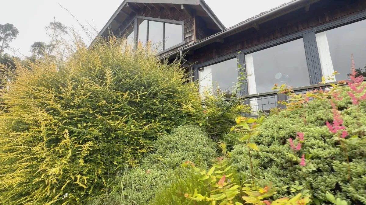 Imagen 2 de 25 de Casa Soñada En Venta Puerto Octay, 12.000mts2 De Terreno,