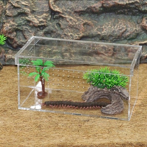 / Caja De Cría De Hábitat De Terrario De Para Mascotas De
