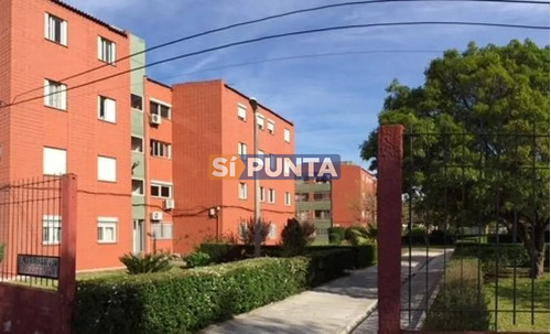 Departamento En Maldonado, Excelente Ubicación Para Vivir Todo El Año