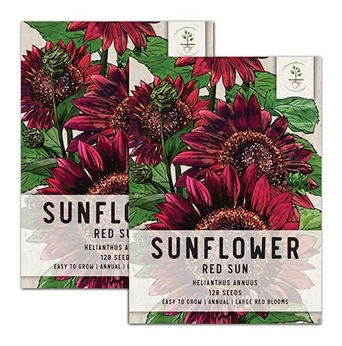 Seed Needs, Red Sun Girasol (helianthus Annuus) Twin Pack D.