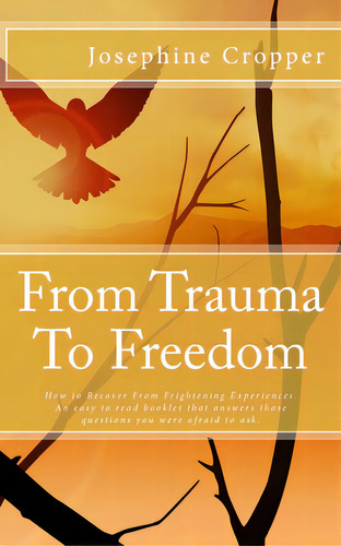 From Trauma To Freedom: How To Recover From Frightening Experiences., De Cropper Msc, Josephine. Editorial Createspace, Tapa Blanda En Inglés