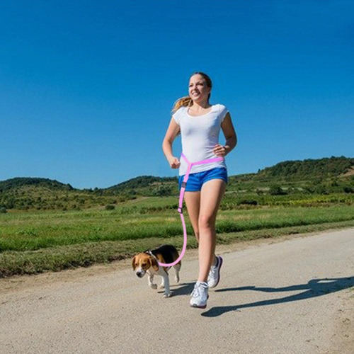 Guia De Corrida E Caminhada Com Seu Cão - Azul