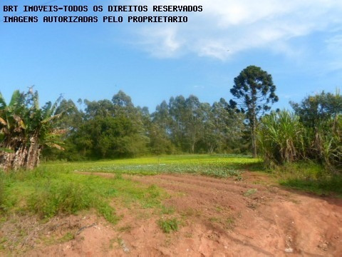 Imagem 11 de 18 de Area - Ar00011 - 2238924