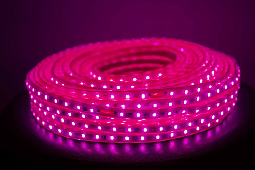 Manguera Led 5050 25 Metros Para Exerior Luz Rosa