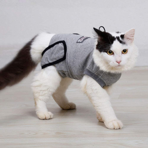 Imagen 5 de 6 de Traje Profesional De Recuperación De Gatos Para Heridas Abdo