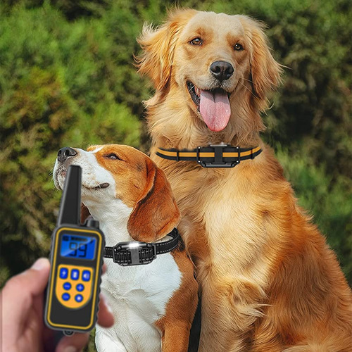 Collar De Adiestramiento Para Perros De 2600 Pies, Collar De