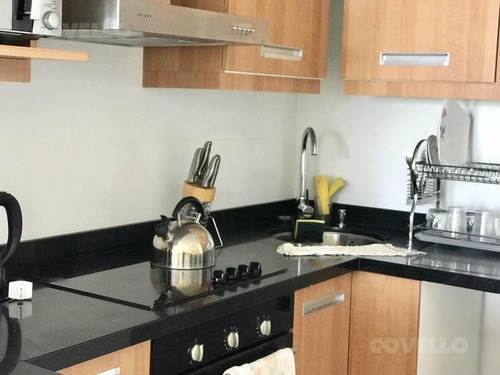 Imagen 3 de 13 de Apartamento Frente Al Mar De 1 Dormitorio Punta Del Este !