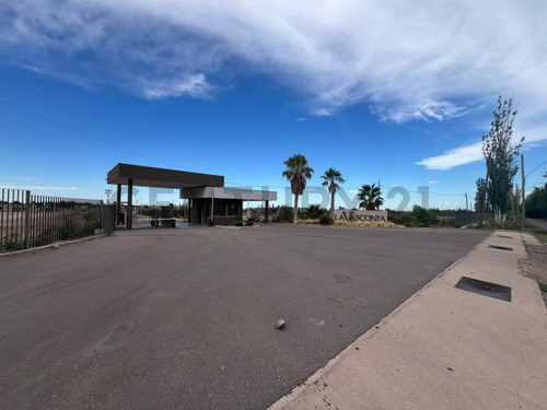 Century21lopez Vende Lote En Barrio La Vasconia Coquimbito Maipu.