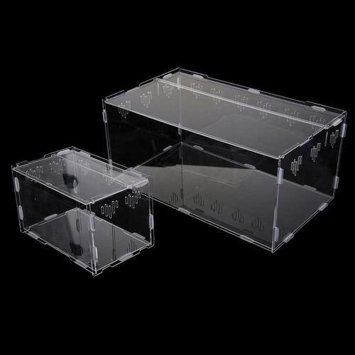 M Recipiente Para Terrarios De Reptiles S