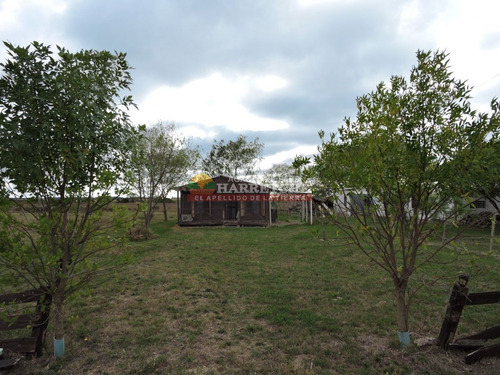 Imagen 5 de 17 de Casa Quinta A 4 Km Del Centro De Canelones, 5000 M2 De Terreno Ah-62784