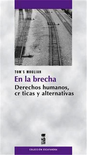 En La Brecha . Derechos Humanos , Criticas Y Alternativas