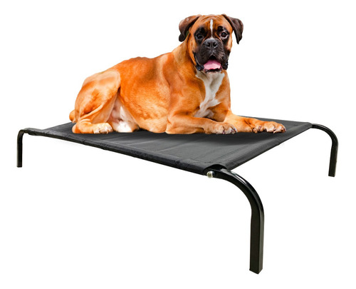 Cama Elevada Altura Para Mascota Perro Gato Talla Xl