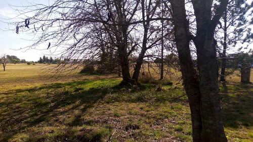 Imagen 13 de 18 de Lote En Venta En Pilar (country Con Golf)