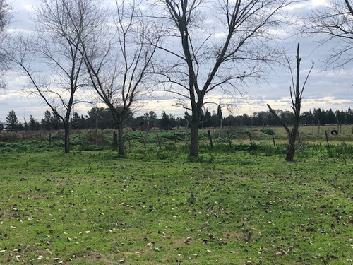 Loteo La Eugenia By Moradas Venta De Lotes Con Amplia Financiacion En Ezeiza