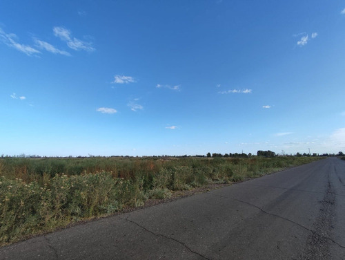 Imagen 3 de 11 de 31 Has. En Alto Verde
