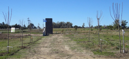 Imagen 4 de 6 de Terreno / Lote En Venta - El Remanso - Monte Caseros