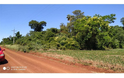 Vendo Casi 23 Hectáreas En Lapachal, Obligado Km 33.