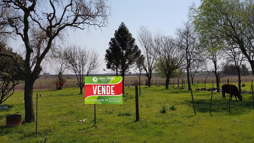 Imagen 2 de 7 de Campo Mixto 388 Has Don Cristóbal Nogoya Entre Rios
