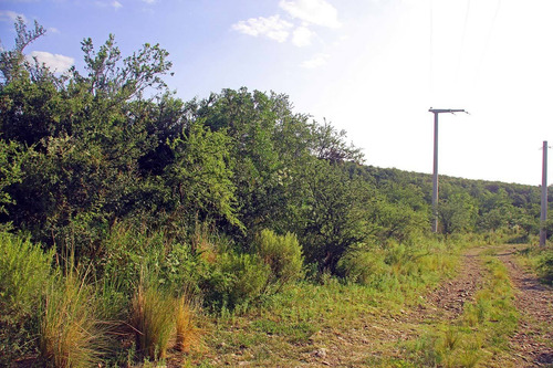 Imagen 14 de 14 de Venta De Lotes En Carpinteria El Mollar De La Cañada
