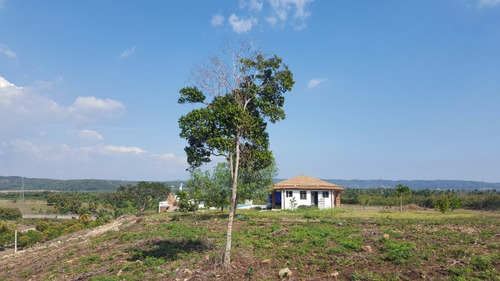Finca De 430 Tareas Con Limones, Mina De Grava, Lagos