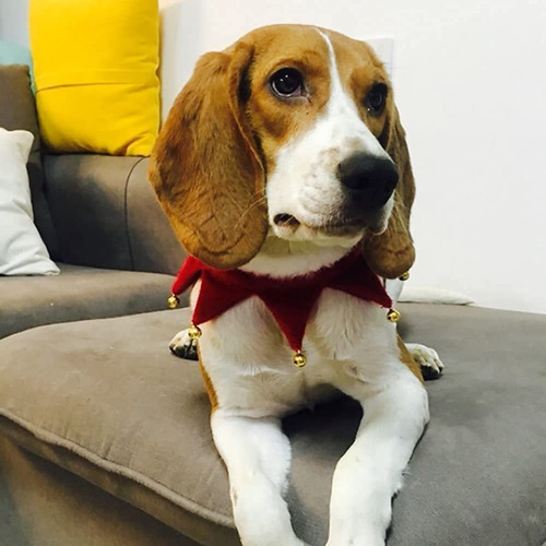Bufanda De Navidad Perro Collar De Campana De Felpa De...