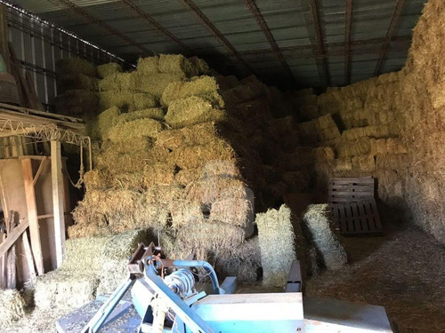 Canelones, 249 Ha Campo Con Casa Y Galpones. Suelo Agrícola.