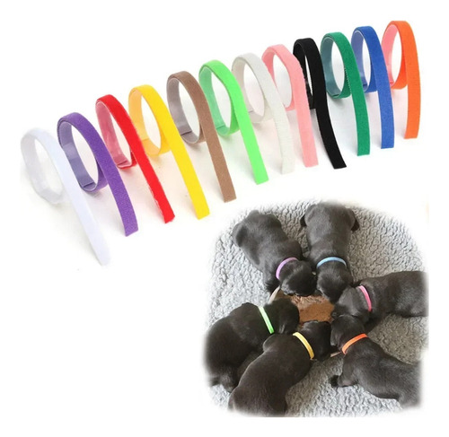 C. Collar De Identificación Para Cachorros, 12 Uds.