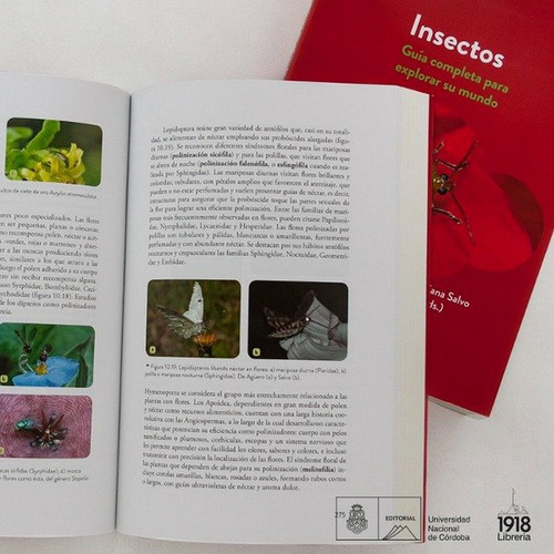 Valladares: Insectos - Guía Completa Para Explorar Su Mundo