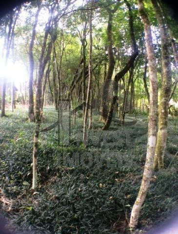 Imagem 3 de 3 de Cód 1282 - Terreno De 1.500 M² Em Ótimo Condomínio - 1282