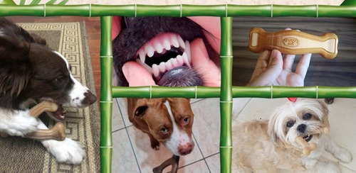 Brinquedo Osso Mordedor Para Cães Pequeno Bamboo Toys Cor Osso Y