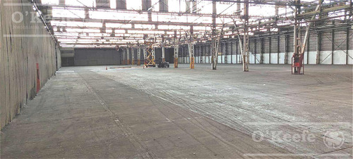 Alquiler Galpón 10.000 M2 Cir 2 En Pesos Al Oficial Expensas Incluidas!! Zona Sur Berazategui