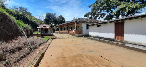 Se Vende Finca Ganadera Entre Barragan - Río Verde.