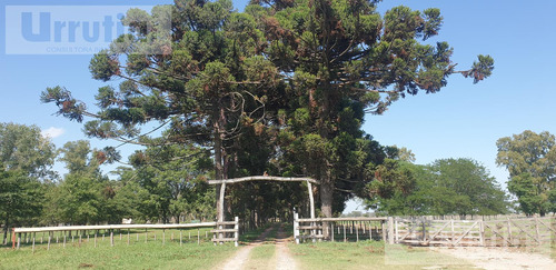 Campo En Venta General Rodriguez, Ruta 6