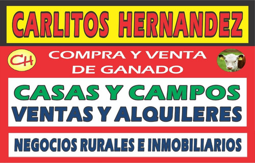 Necesitamos Ganado Para Venta