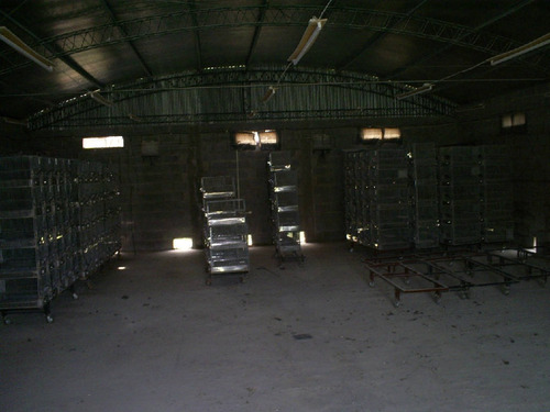Imagen 3 de 7 de Galpon Sobre Lote De 1000 Metros