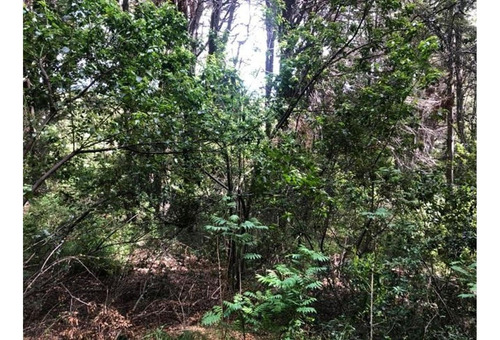 Imagen 11 de 13 de Unico, Magnifico Lote De 2717 M2 Aproximados