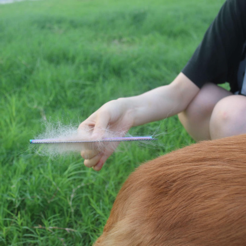 Ropo Peine Para Perros Para Quitar El Pelo Enmarañado - Pein